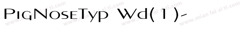 PigNoseTyp Wd(1)字体转换